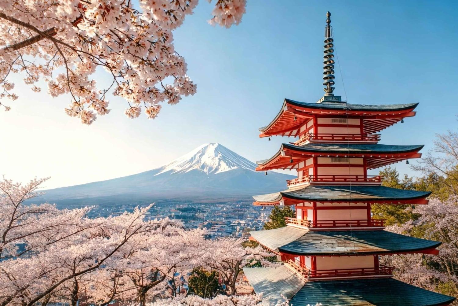 Tokyo & Mount Fuji Escape